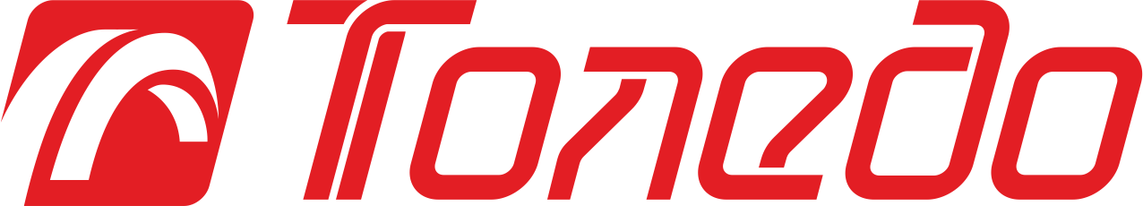 ТОЛЕДО